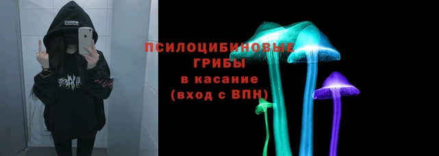 прущая мука Беломорск