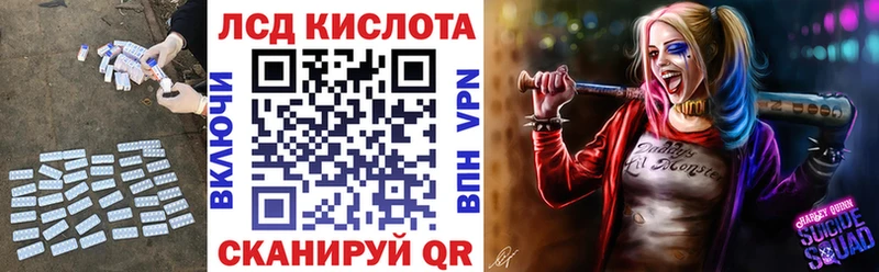 ЛСД экстази ecstasy  гидра как войти  Гвардейск  купить наркоту 