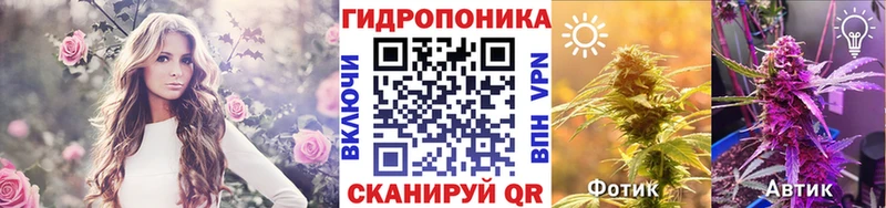 Бошки марихуана MAZAR  дарнет шоп  Гвардейск 